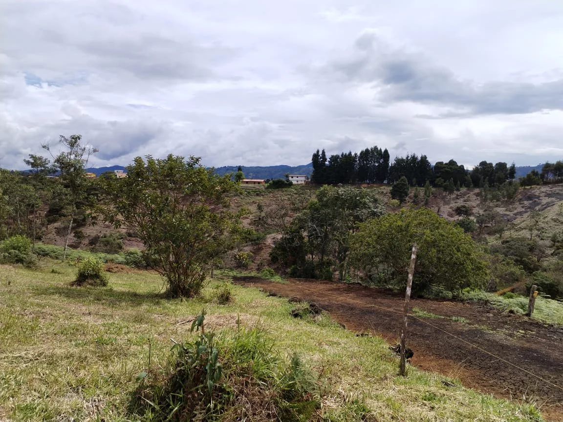 Oriah - Lotes campestres vista terreno