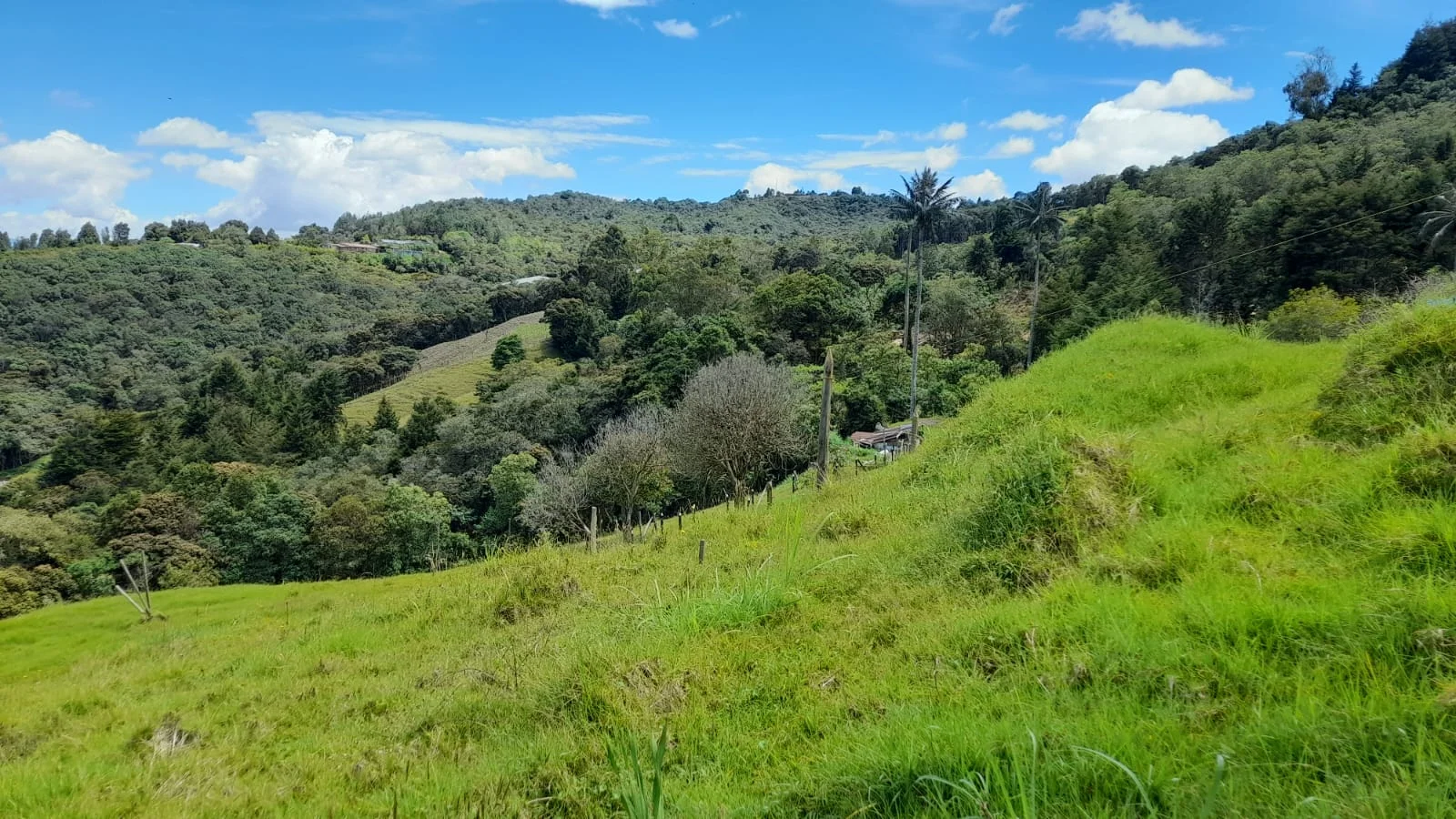 Vista 2