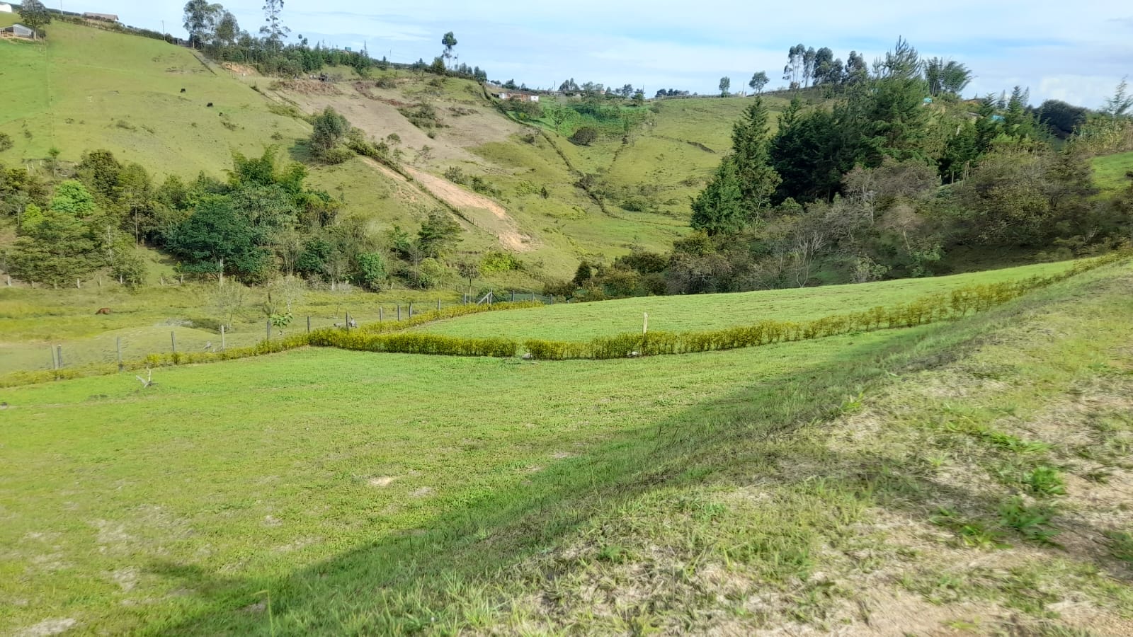 Proyecto La Libertad